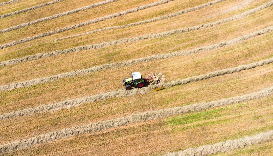 Photo Rural landscape